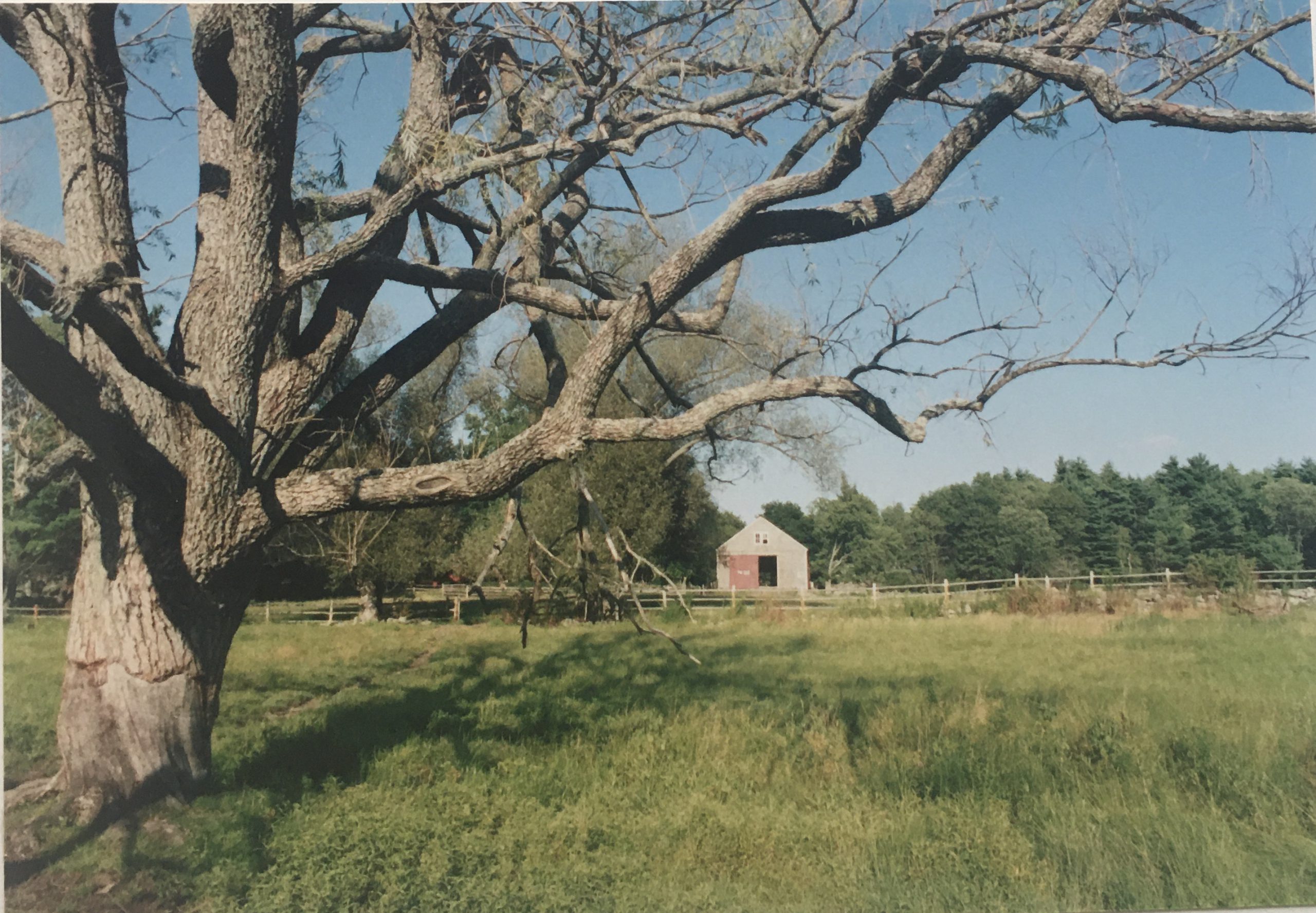 View of Deerhorn Farm
