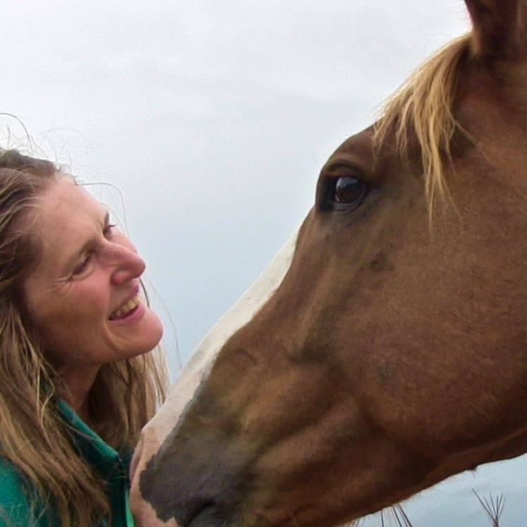 Ellie and Horse