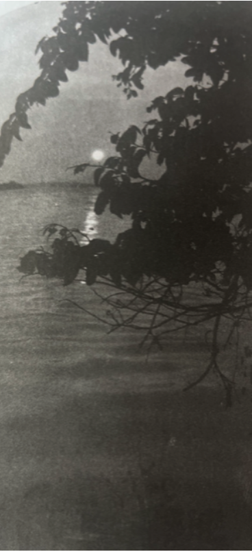 Marco River, Marco Island Aunt Sal’s image of the Buck’s Moon, July 1914